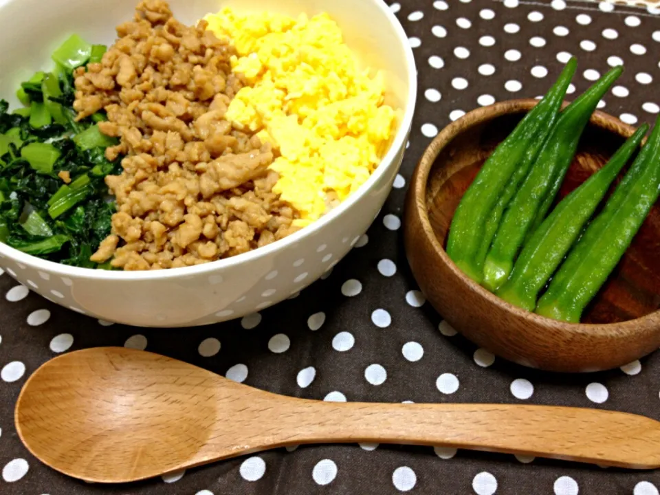 Snapdishの料理写真:三色そぼろ丼|akanenさん