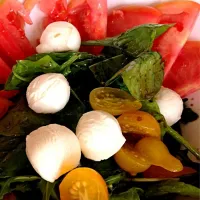 Caprese salad on bed of spinach|Rebekah Quintanaさん