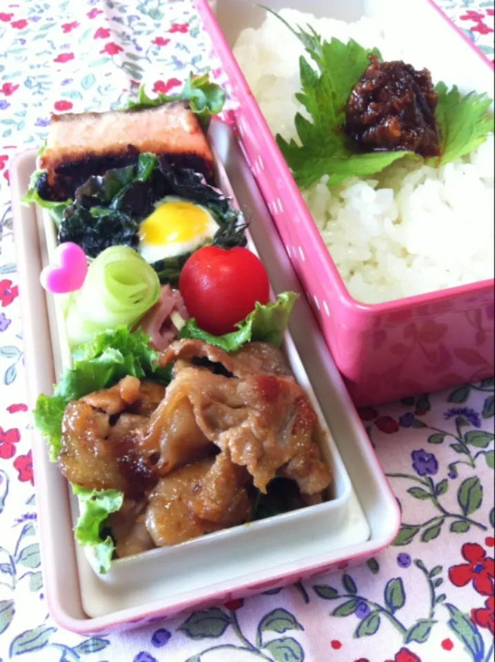 Snapdishの料理写真:6月19日のお弁当。|keroさん