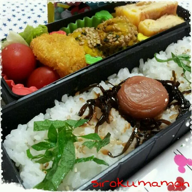 今日のお弁当☆2013/6/19|しろくまもんさん