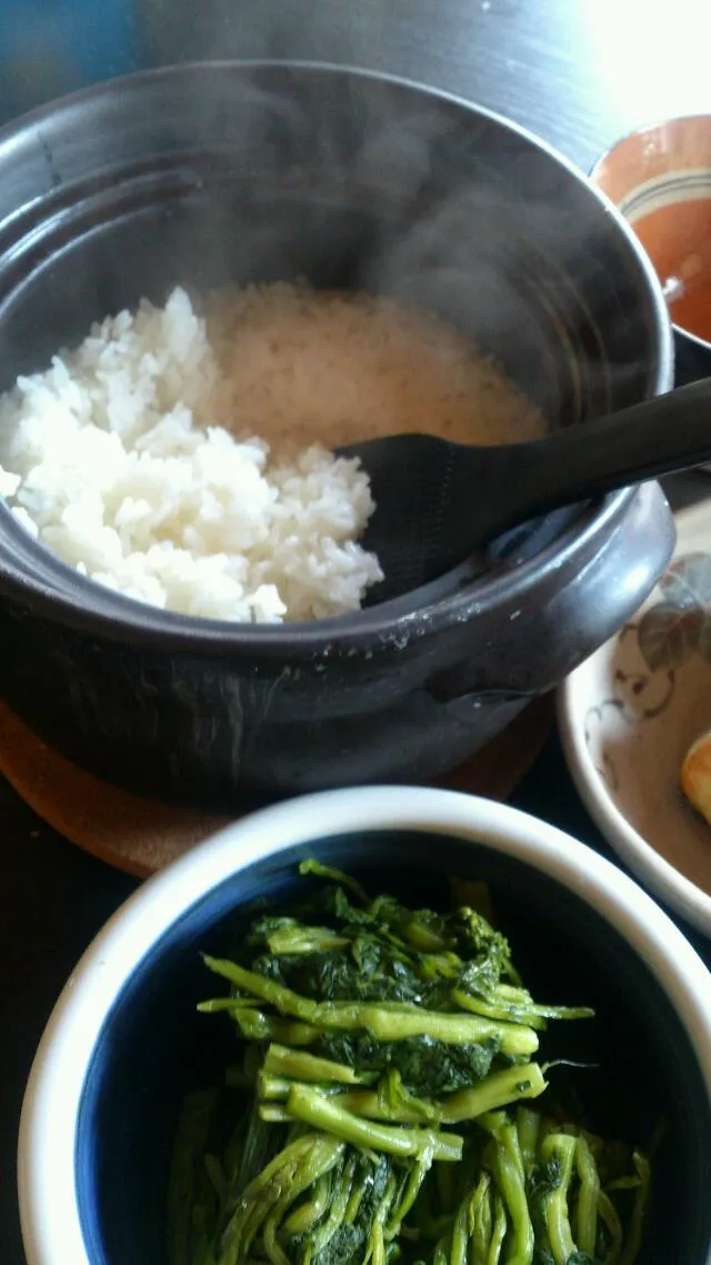 【代々木上原おこん】賄い 炊きたて土鍋御飯と水かけ菜|うめロクさん