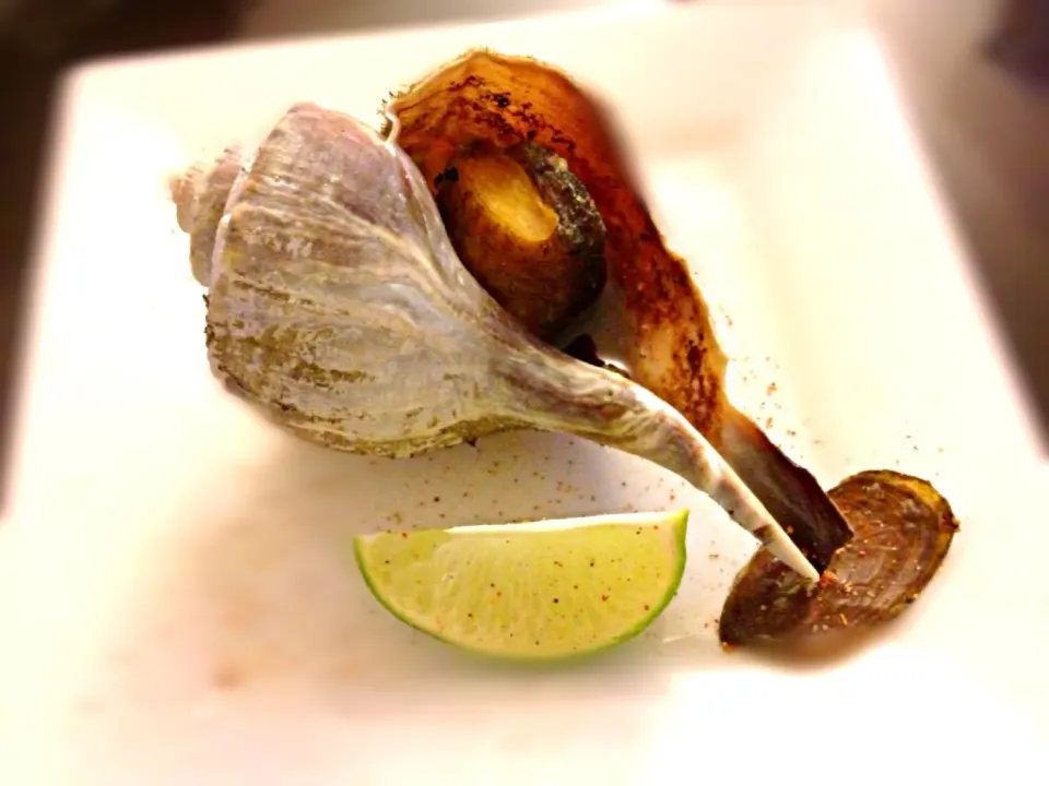 Snapdishの料理写真:Grilled in the shell conch|@namamotoさん