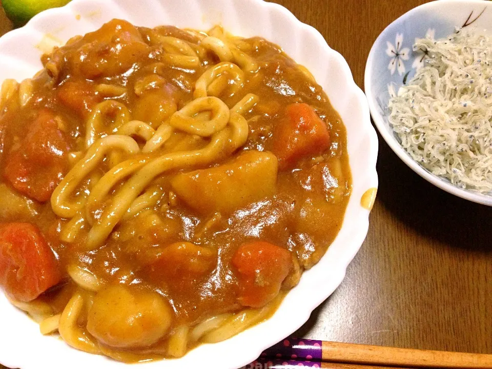 カレーうどん/ちりめん|まからいとさん