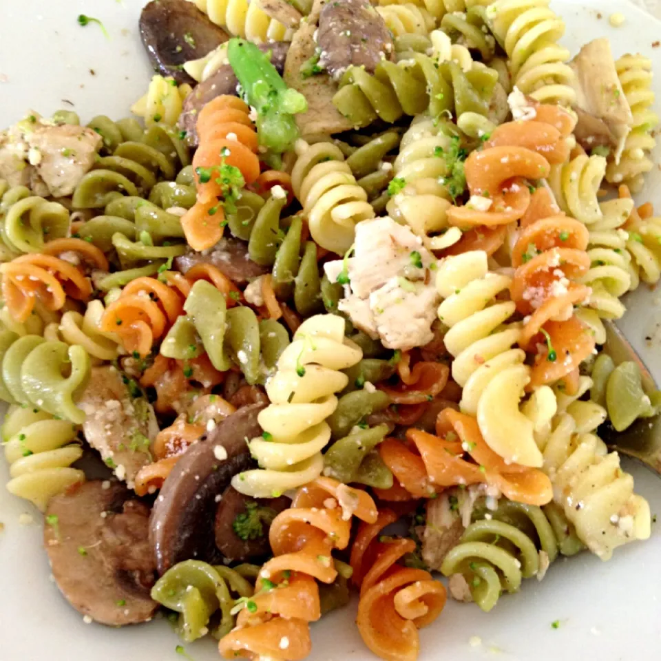 Warm Chicken Pasta Salad w/ broccoli, tri-color rotini, chicken & mushrooms|Curt Chillさん