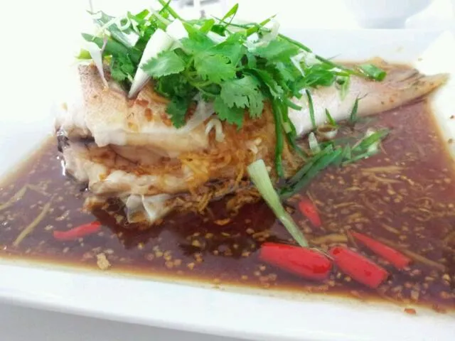 +Healthy Steamed Fish+|Cjkさん