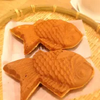 TAIYAKI 🐠😁|little bear!! >''~さん