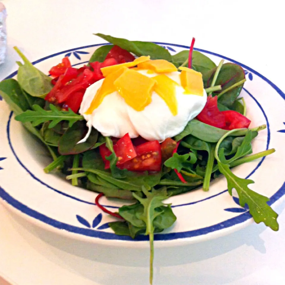 Poached Egg on salad|claraさん