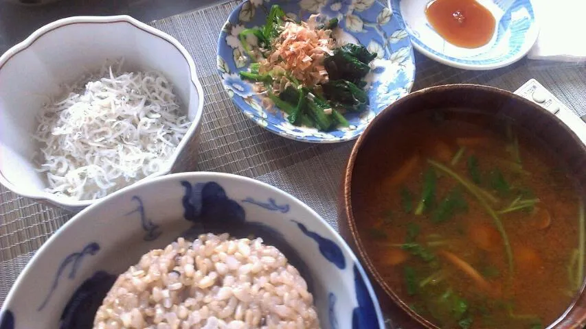 しらすおろし&ホウレン草のお浸し&焼き海苔|まぐろさん