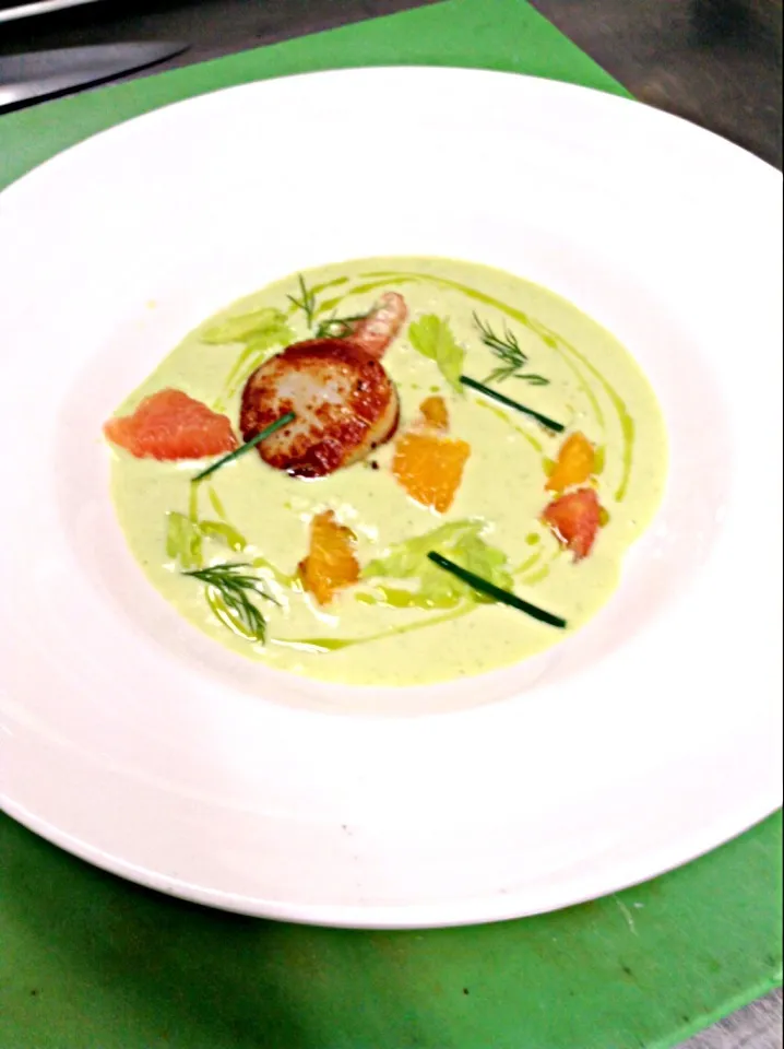 Chilled Fennel Soup With Pan Seared Scallop|Milka Papricaさん