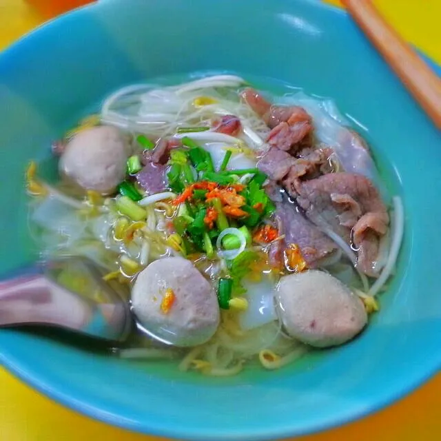 Thai style beef noodles I took when I was in Hatyai in Thailand..on the table they have 4 type of condiments that you can add in your noodles...dried chilli spr|yapさん