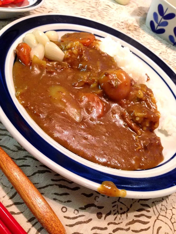 母の手作りカレー|マホさんさん