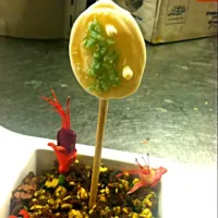 Lemon curd lollipop w/ chocolate soil|Jonathan Humphreyさん