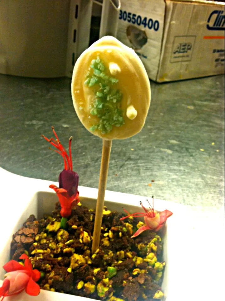 Lemon curd lollipop w/ chocolate soil|Jonathan Humphreyさん