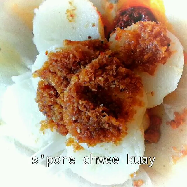 flour cake with preserved turnips...usually sold in hawkers centre in s'pore & m'sia|yapさん