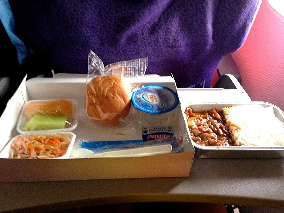 Airplane food|해리さん