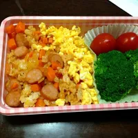 Snapdishの料理写真:オムライス弁当|Sn06さん