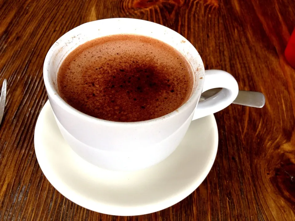 Mexican Hot Chocolate from Anepalcos|sooprcoolchicaさん