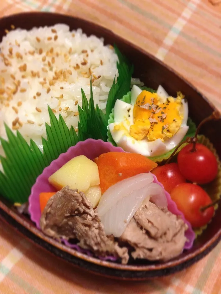 塩肉じゃがのお弁当|さくらぱんださん