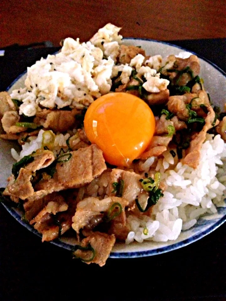 Snapdishの料理写真:豚丼|ユウジさん