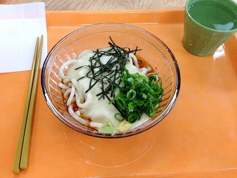 冷やしうどん|すかラインさん