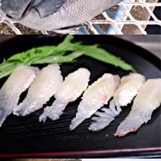 メジナのレシピと料理アイディア276件 Snapdish スナップディッシュ