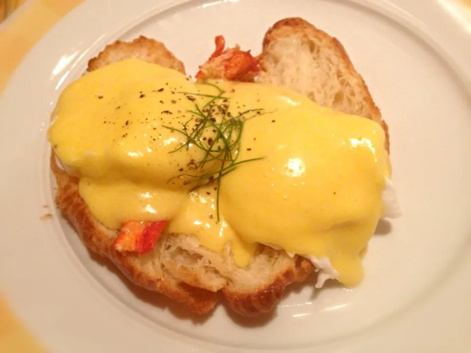 Lobster Benedict|claire lunaさん