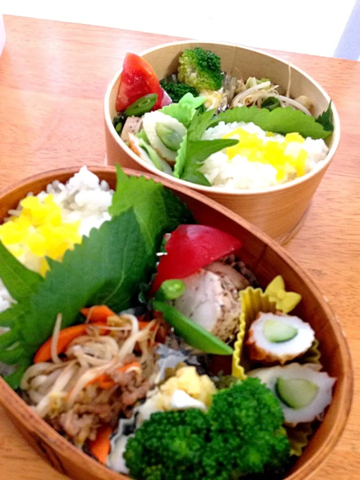 Snapdishの料理写真:6/27 お弁当🍀|aynyaynyさん