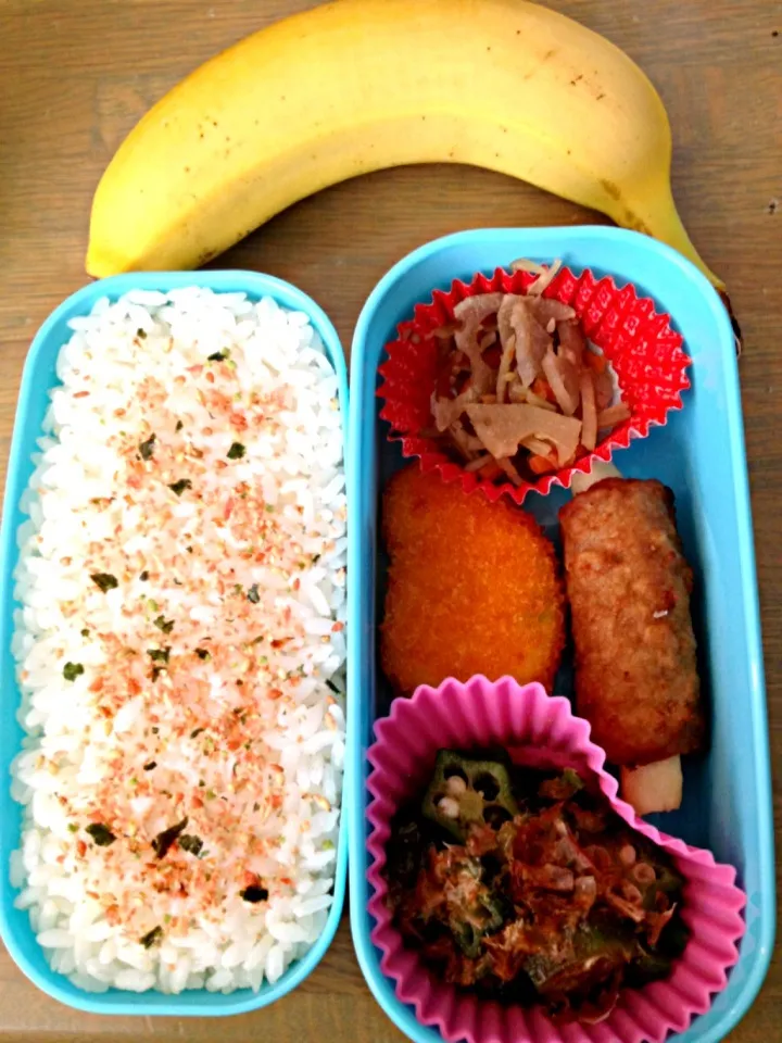 6/27のお弁当|ちな姉＠水ノ智南英さん