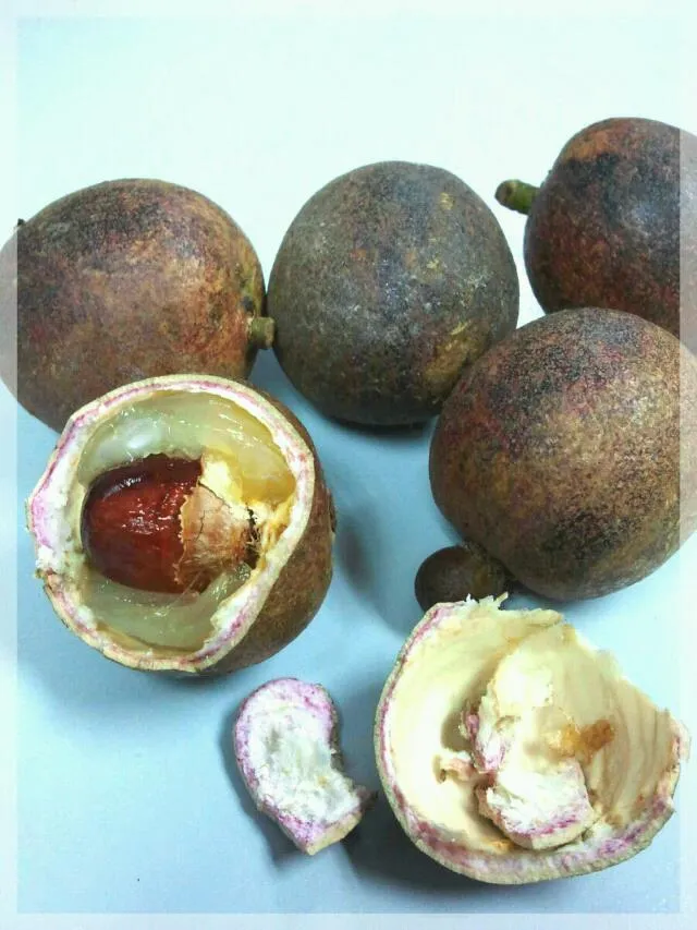 Snapdishの料理写真:Malaysian called it "brazil longan" 巴西龙眼|m!ckongさん