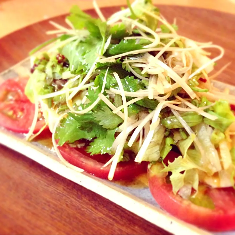 トマトと豆腐のパクチーサラダ|あいこ ⁎ˇ◡ˇ⁎さん