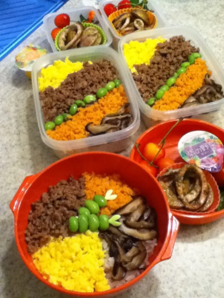 Snapdishの料理写真:6/28 みんなのお弁当|naoさん