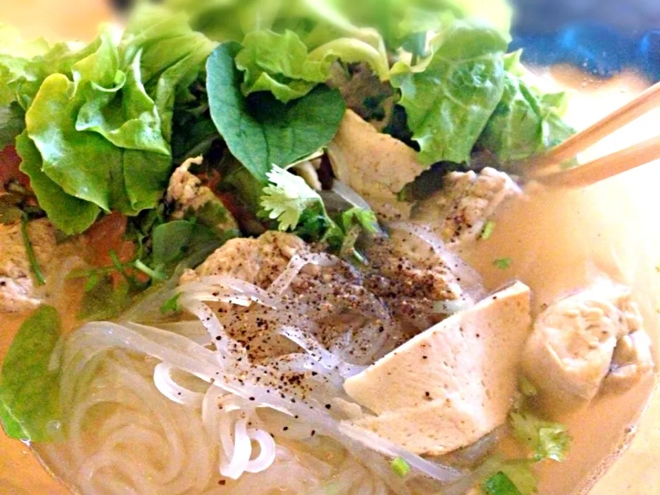 Japanese noodle with Vietnamese broth|@namamotoさん