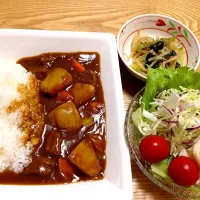 Snapdishの料理写真:カレーとサラダ|あいあいさん