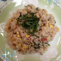 Snapdishの料理写真:梅干しチャーハン|はっとんさん