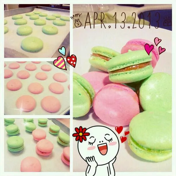 macaron|(*¯︶¯*)さん