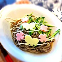 Snapdishの料理写真:サラダ蕎麦|じゅんこさん