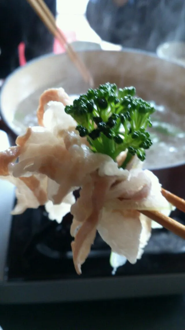 【代々木上原おこん】賄い ﾀｲﾌｰﾄﾝの豚しゃぶと白菜の芽|うめロクさん