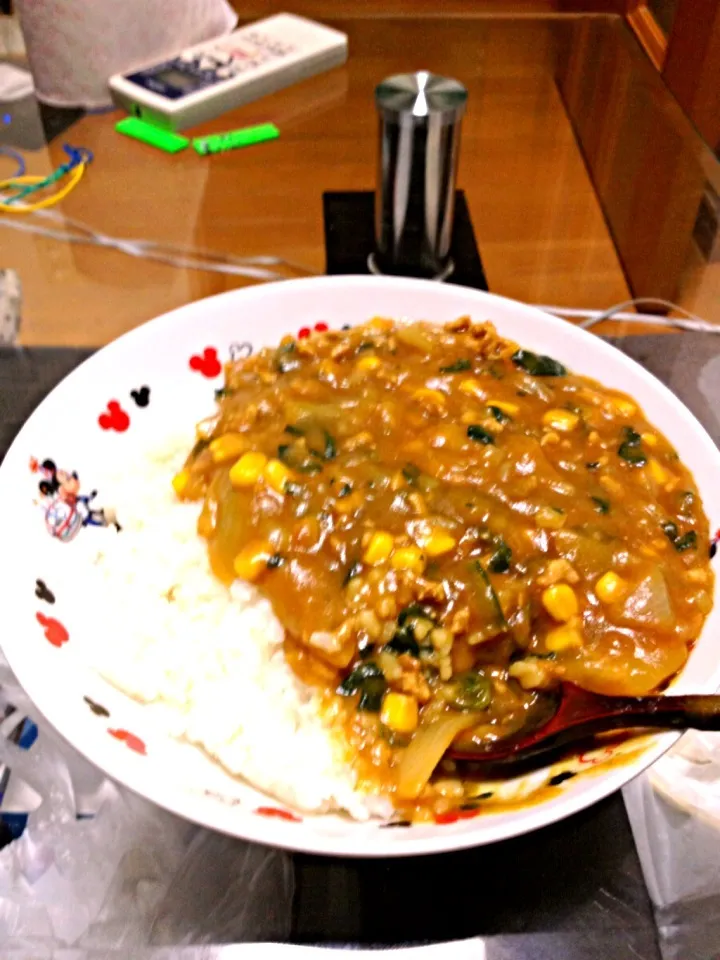 Snapdishの料理写真:ほうれん草カレー|takuyaさん