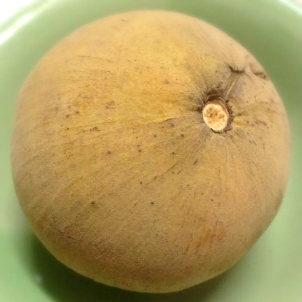 กระท้อนหรือ santol ใหญ่มากหวานเปรี้ยวทำไรกินดีครับ|Inpataさん