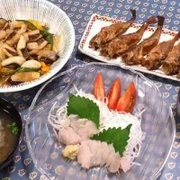 自分で釣ったお魚で(о´∀`о)|にゃぴこさん