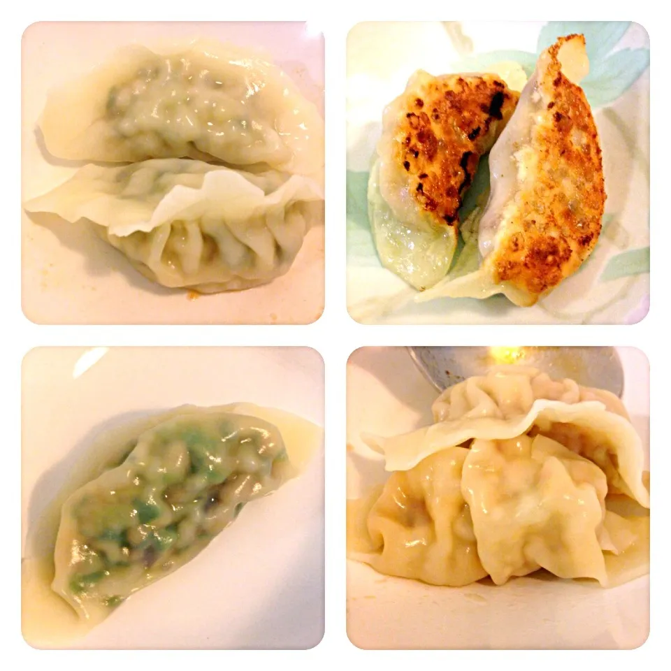 Snapdishの料理写真:Gyoza|willzさん