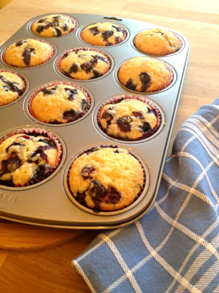 Blueberry muffins|bdipさん