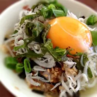 かっぴーサンの釜あげちりめん丼🐟