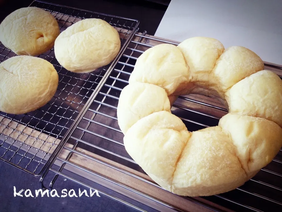 りんちゃんの白パン焼きましたクリチを入れて、旨ぁ〜〜〜（≧∇≦）|かまさん