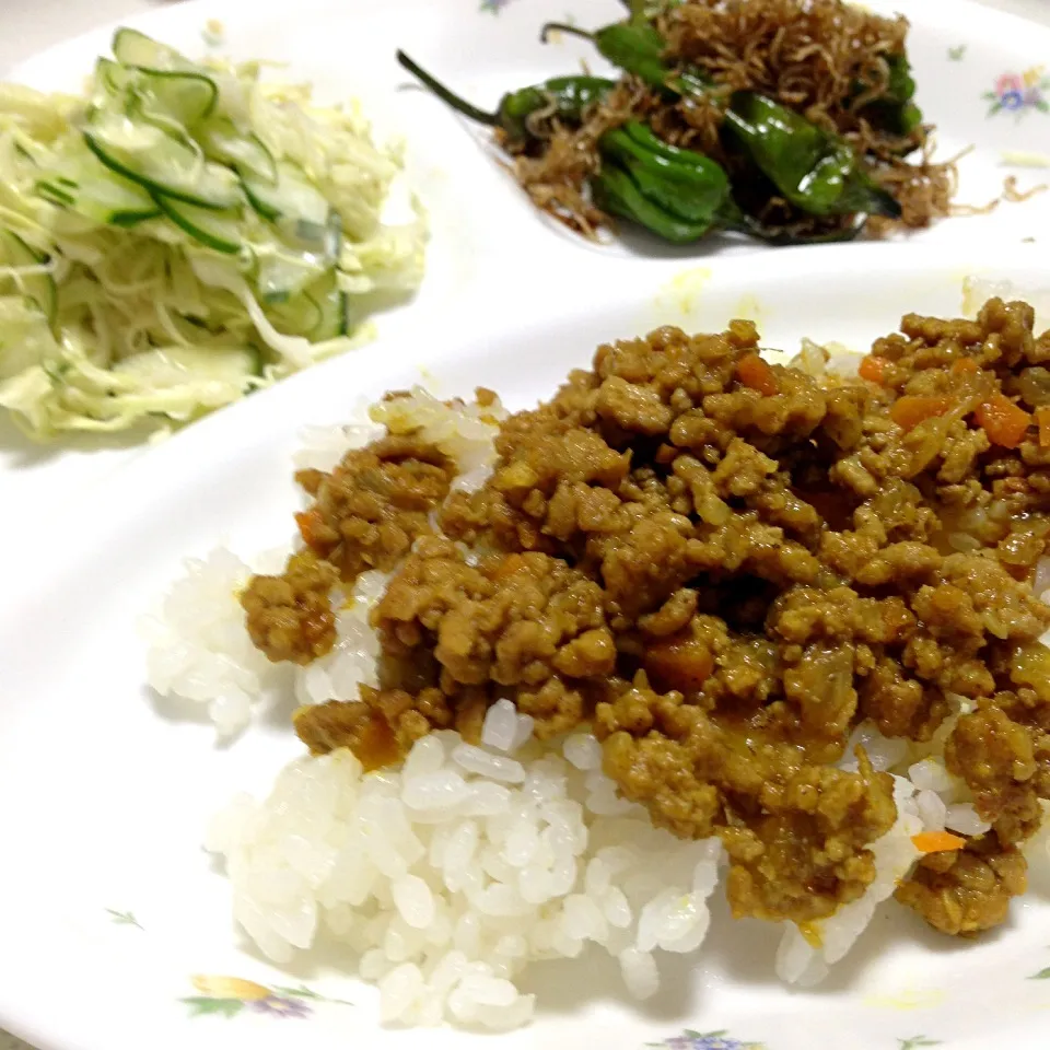 Today's dinner is ドライカレー！|ともみさん