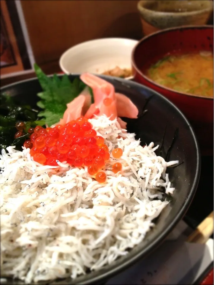 しらすいくら丼定食|寺尾真次さん