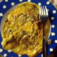 Snapdishの料理写真:omelet|dhita tovaniさん