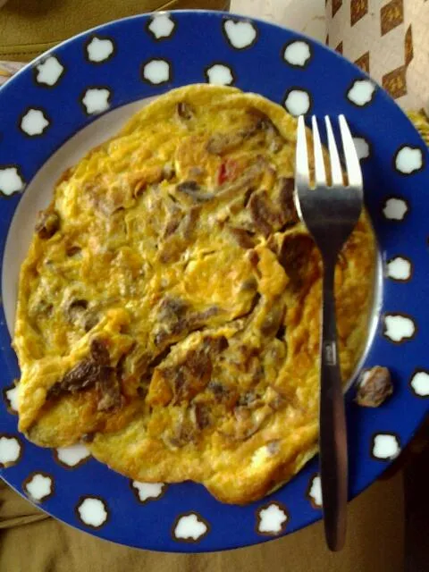 Snapdishの料理写真:omelet|dhita tovaniさん