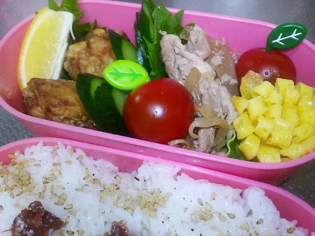 Snapdishの料理写真:7/4(木)女子中学生弁当|kiyokaさん