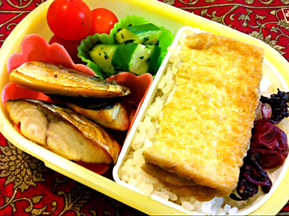 塩鯖と厚揚げ弁当|もえさん